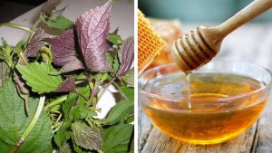 Trị nám bằng mặt nạ tía tô, chanh tươi và mật ong